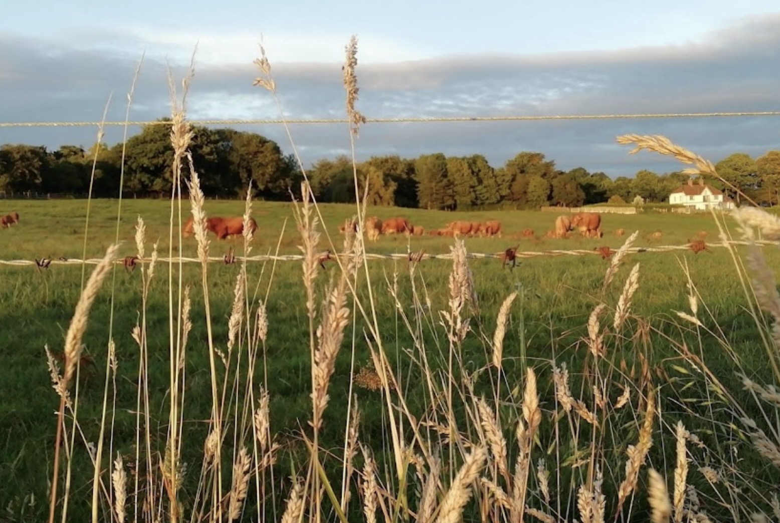 Home Farm Produce
