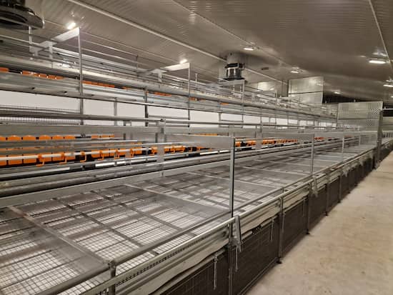 Red Mite Control UK
