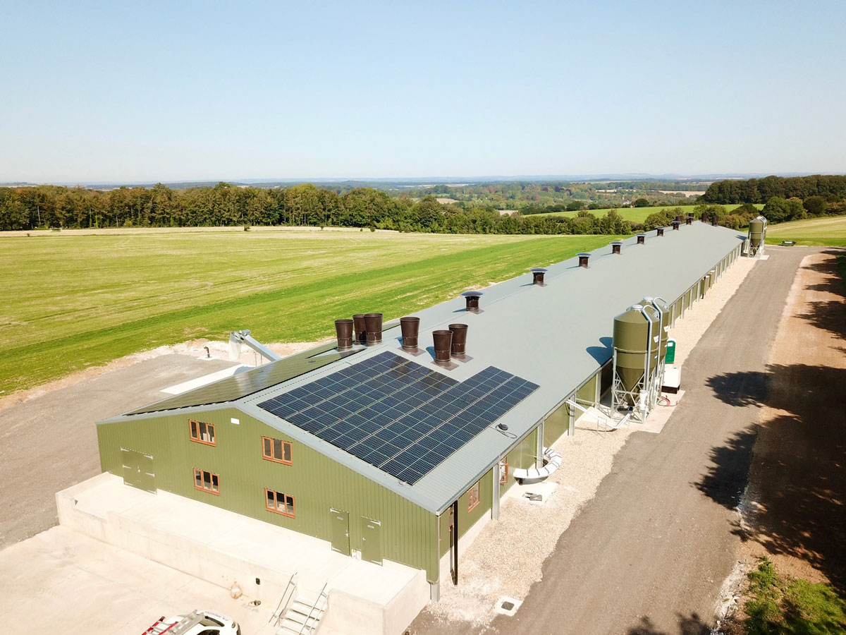 Jaques Int Ltd