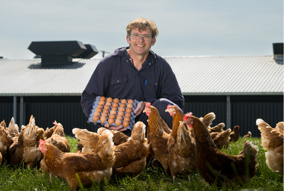 Chippindale Foods