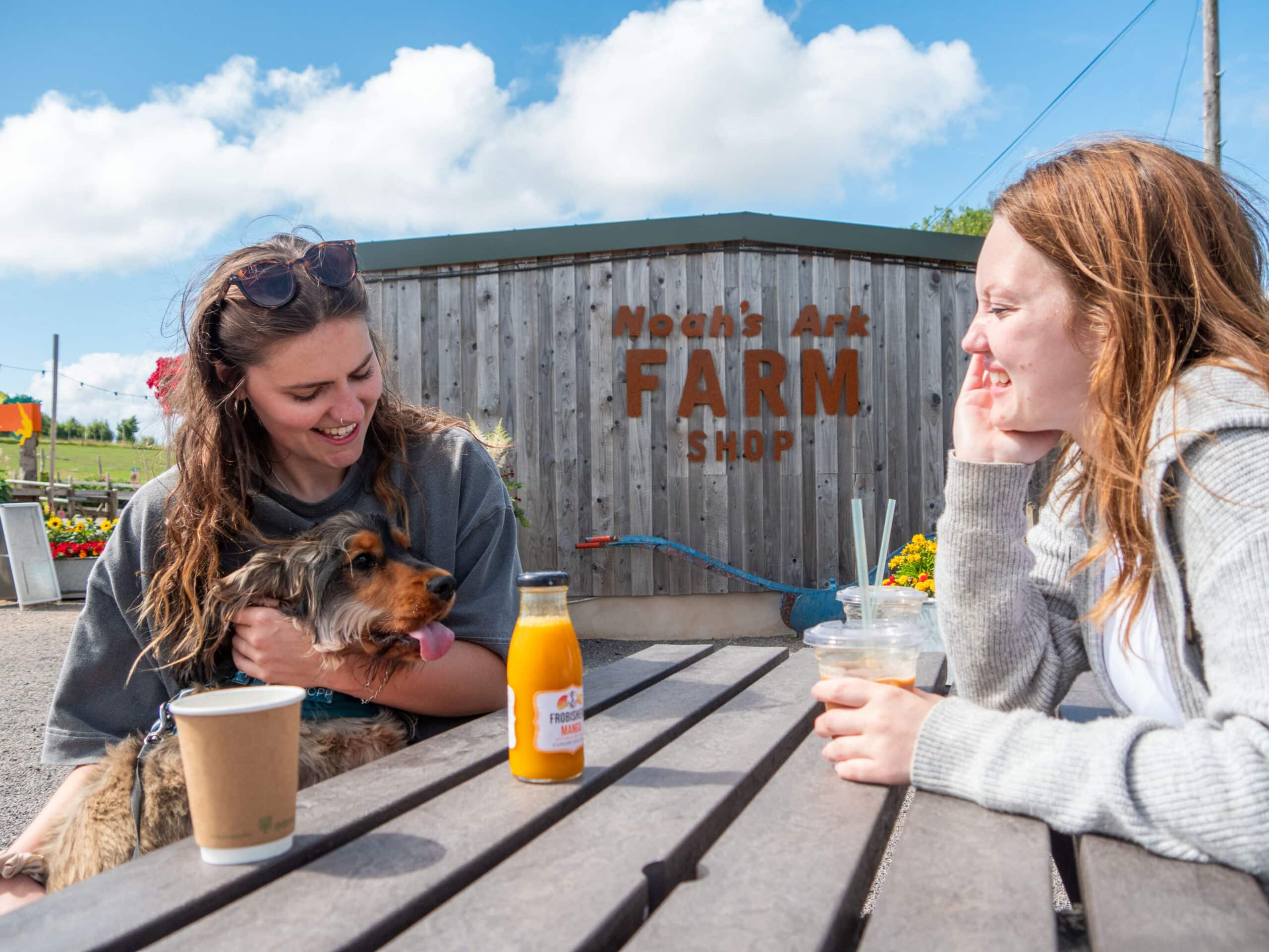 Noah’s Ark Farm Shop