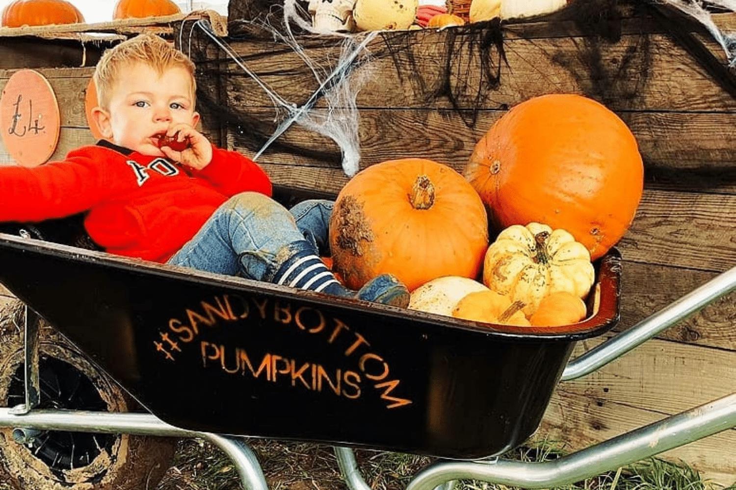 Sandy Bottom Pumpkins