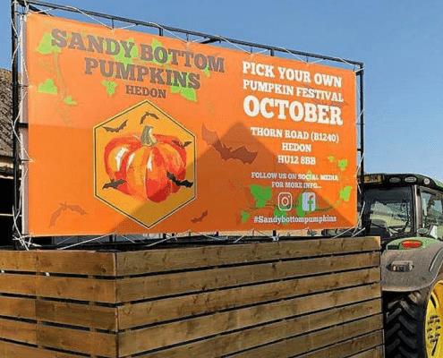 Sandy Bottom Pumpkins