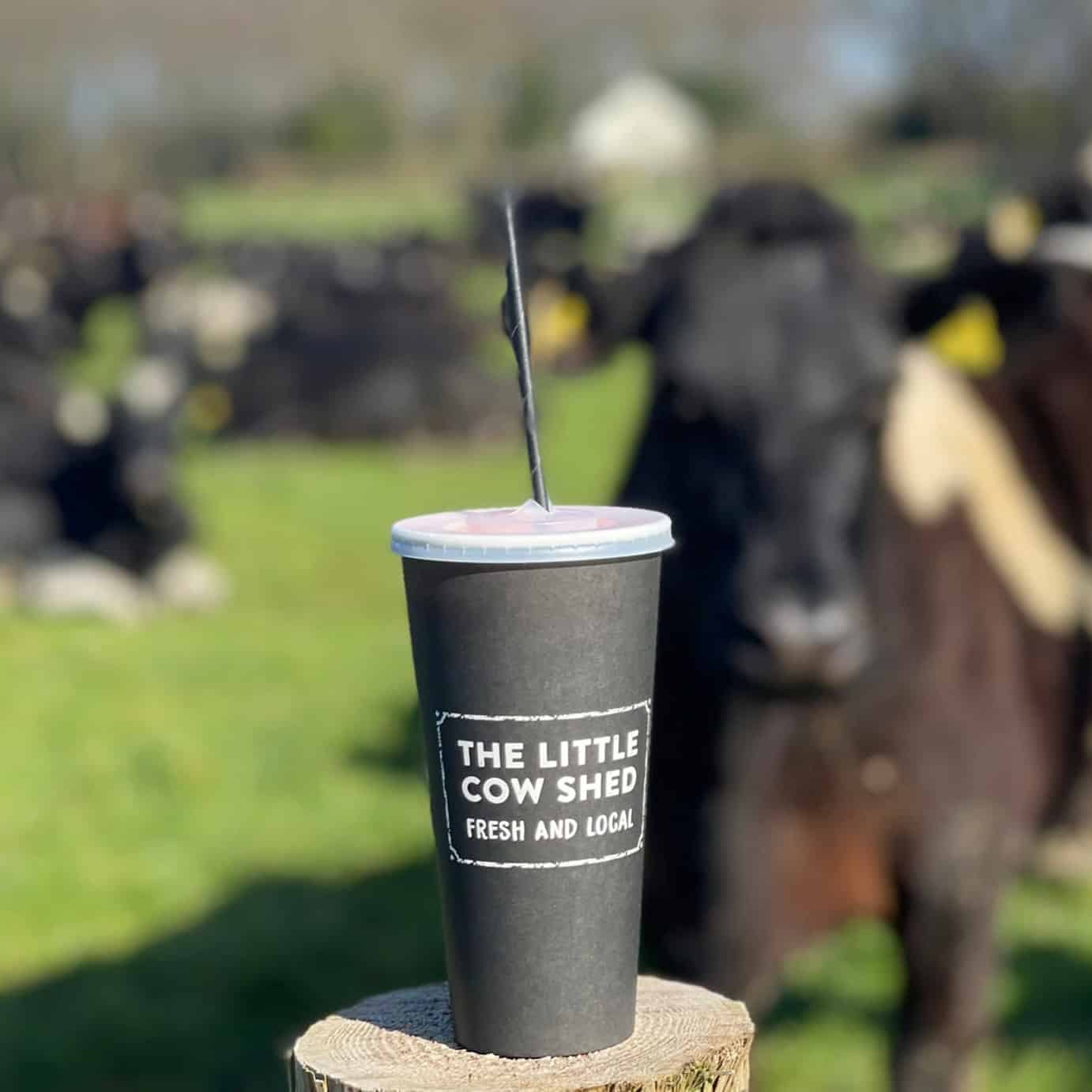 The Little Cow Shed