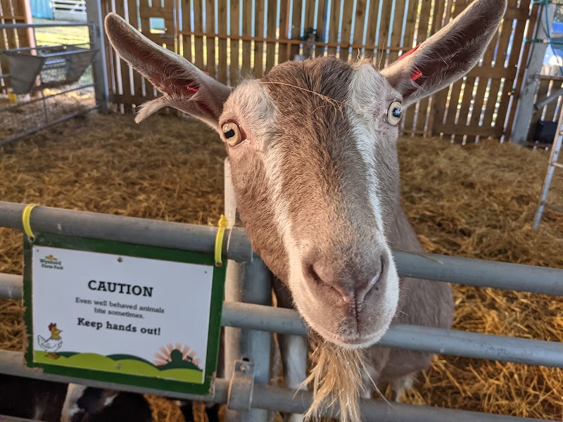 Wynford Farm Park