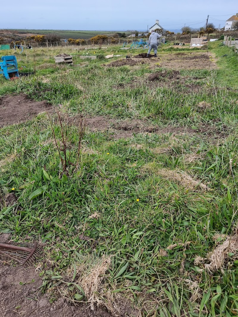 Bosavern Community Farm
