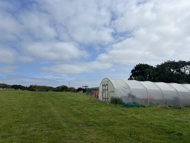 Bosavern Community Farm