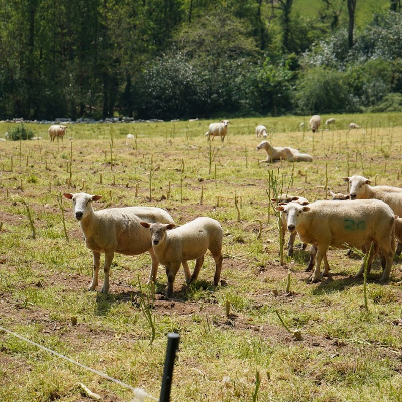 Tresemple farm