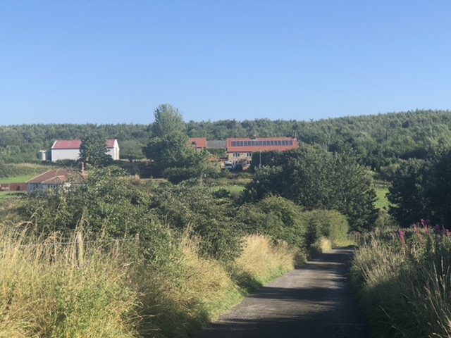 Dalton Moor Farm - Vegan Fruit Farm and School of Sustainable Living & Wellbeing