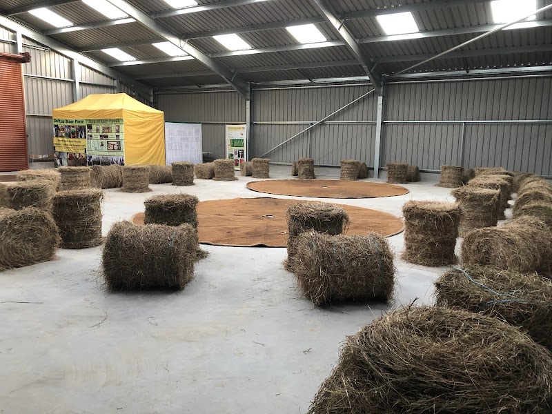 Dalton Moor Farm - Vegan Fruit Farm and School of Sustainable Living & Wellbeing