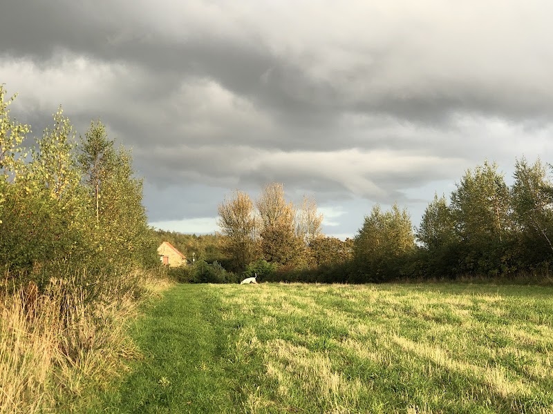 Dalton Moor Farm - Vegan Fruit Farm and School of Sustainable Living & Wellbeing