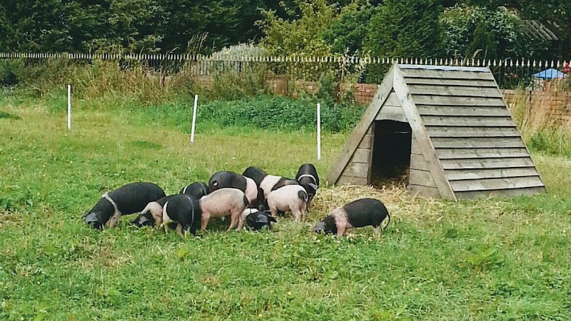 Wrefords Farm FB Wreford &Co