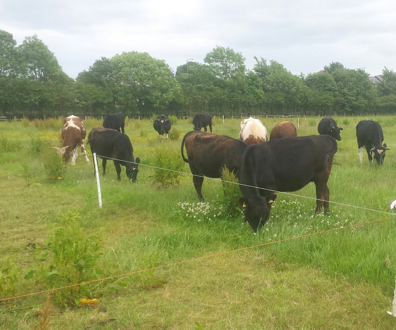 Wrefords Farm FB Wreford &Co