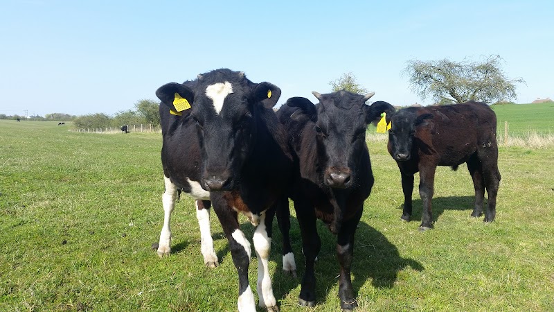 Wrefords Farm FB Wreford &Co