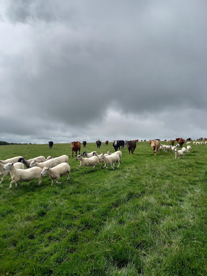 A May's Farm