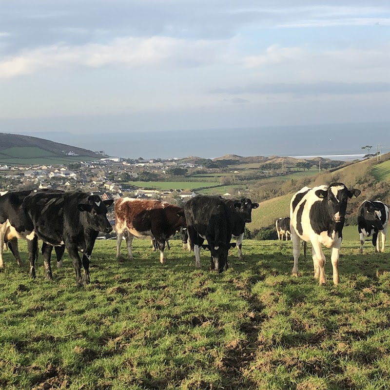 Milk's Up!