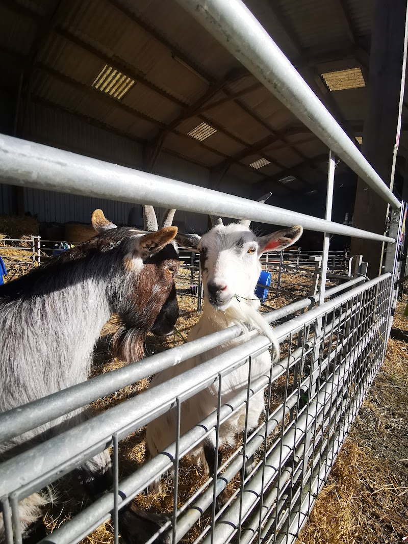 Milk's Up!