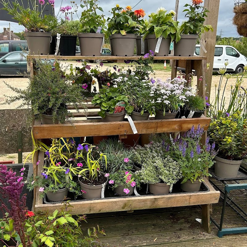 High Mead Farm Shop