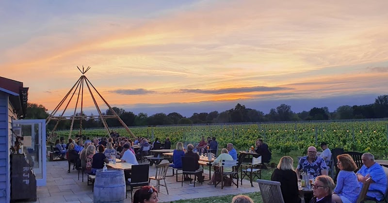 Skylark Social
