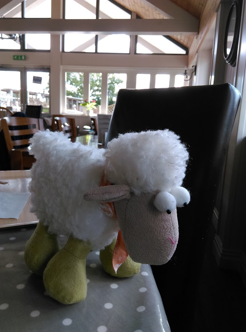 Tom's Farm Shop