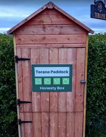 Terane Paddock