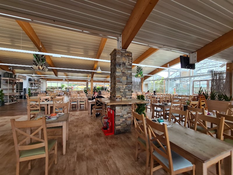 Sedum Farm shop