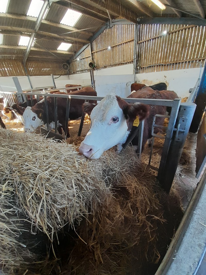 Wythenshawe Community Farm & Shop