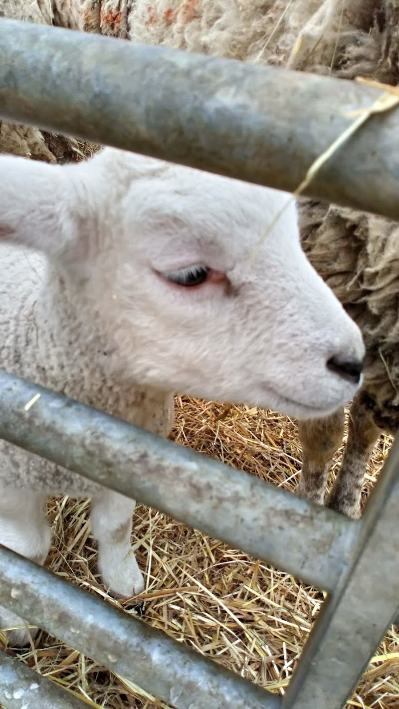 Wythenshawe Community Farm & Shop