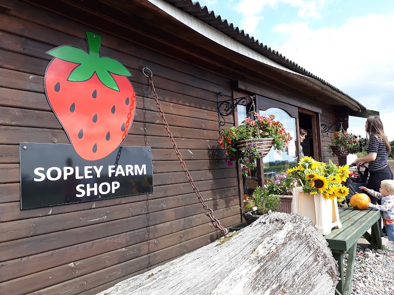 Sopley Farm Shop & Bakery - Dan Tanner's