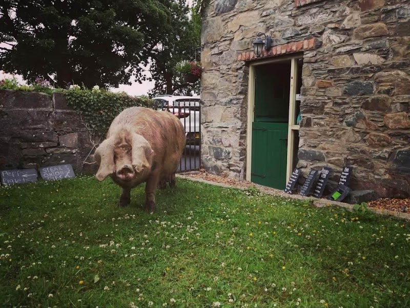 Stonebridge Cottage Farm