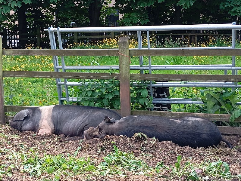 Windmill Hill City Farm