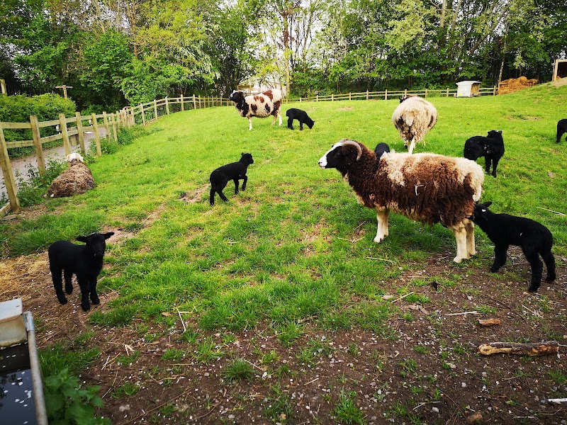 Windmill Hill City Farm