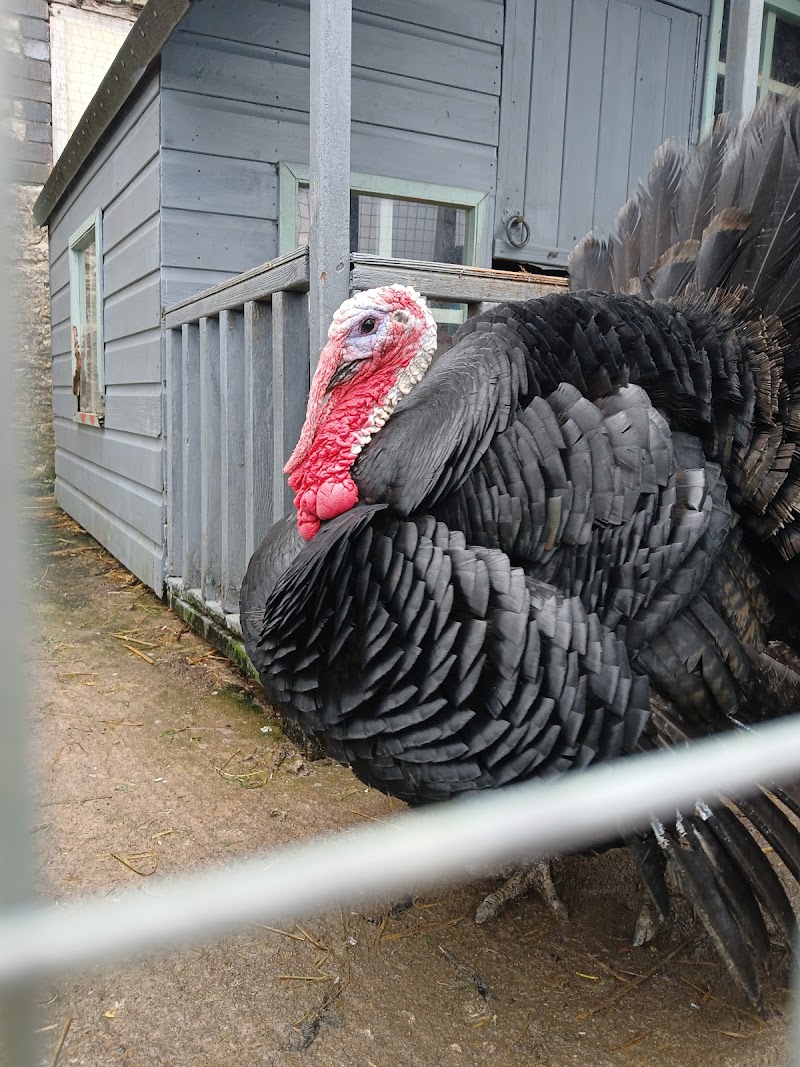 Yew Tree Farm Bristol