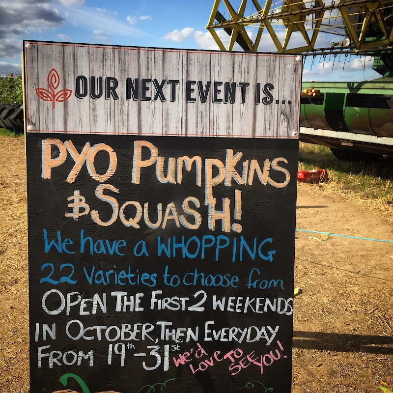The Pop Up Farm