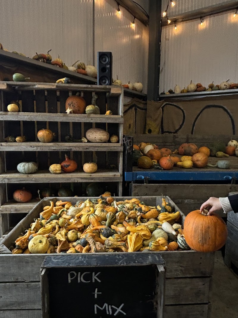The Pop Up Farm