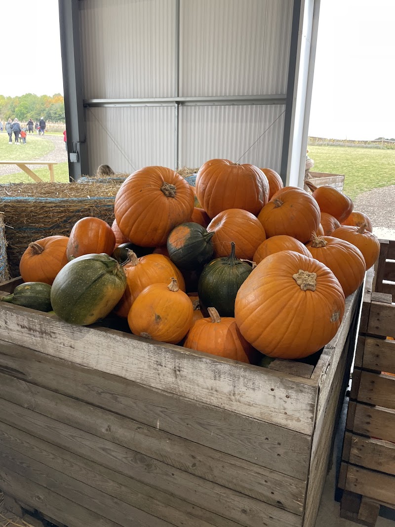 The Pop Up Farm