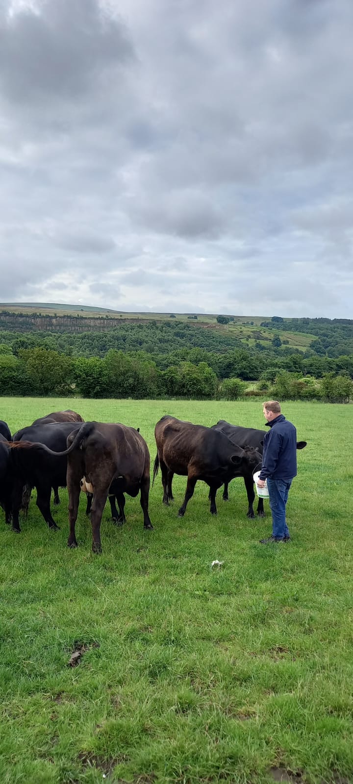 The Green Cow Farm Shop