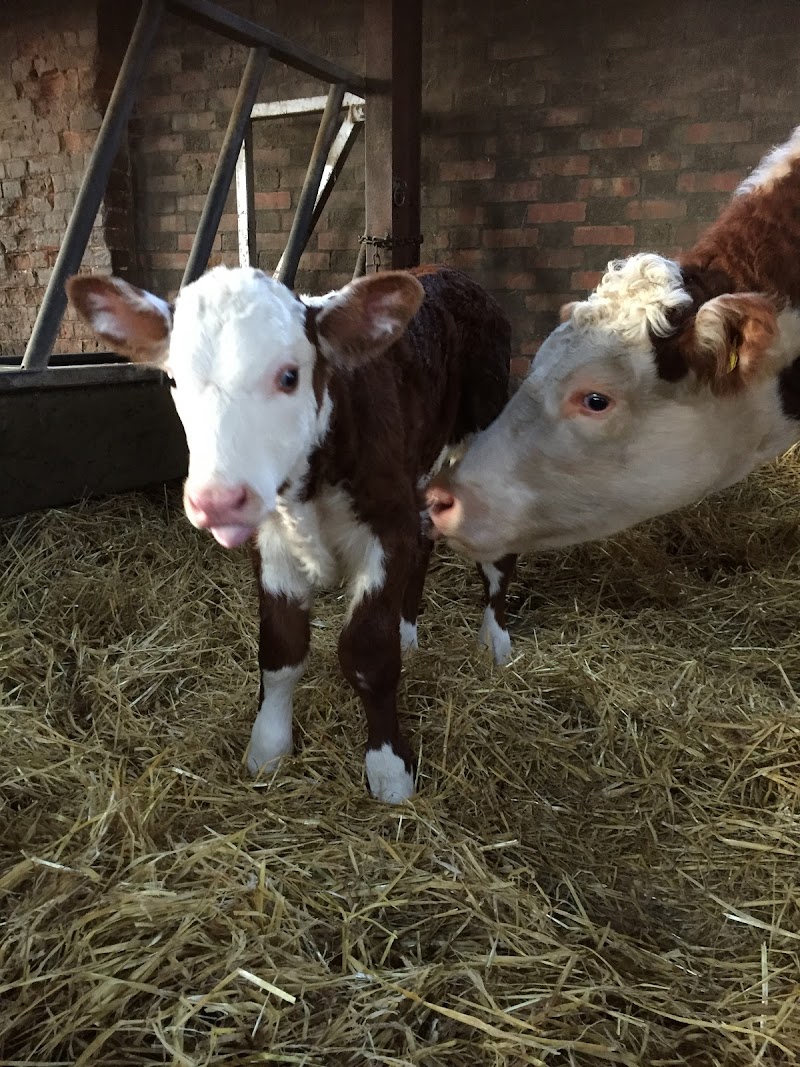 Eves Hill Farm Shop, Campsite & Glamping and Secure Dog Field