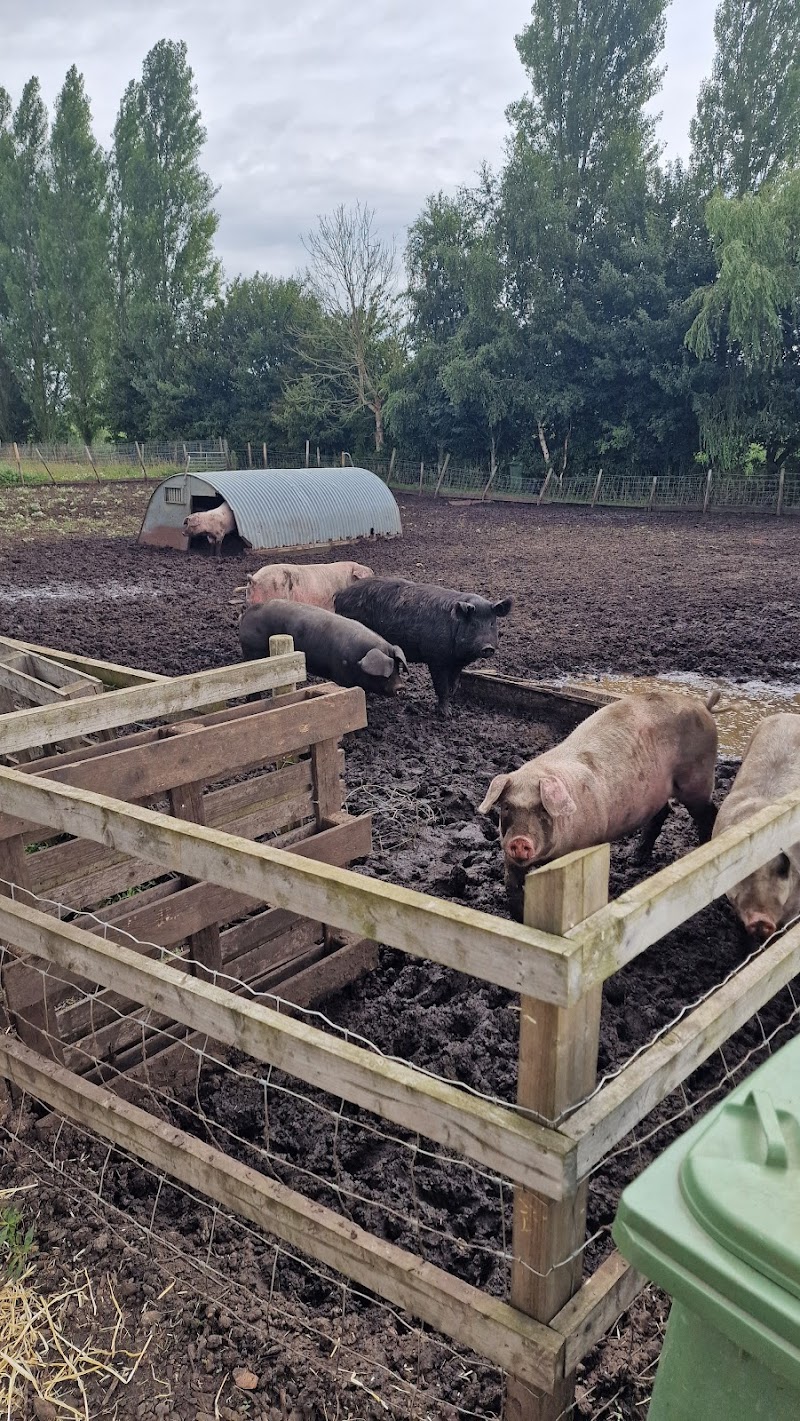 The Meadows Farm Shop