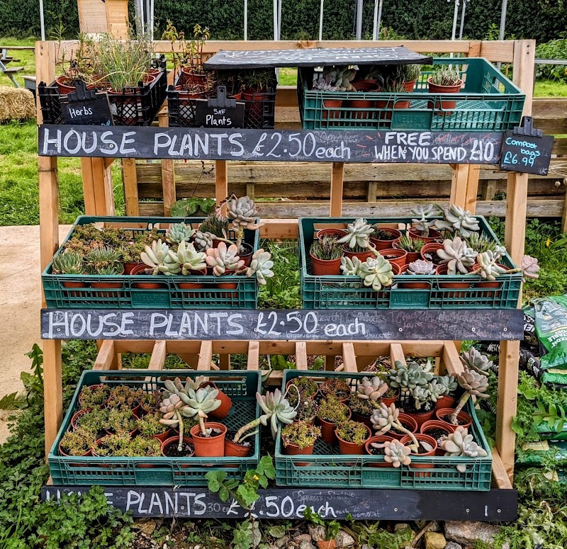 5 Acre Farm shop