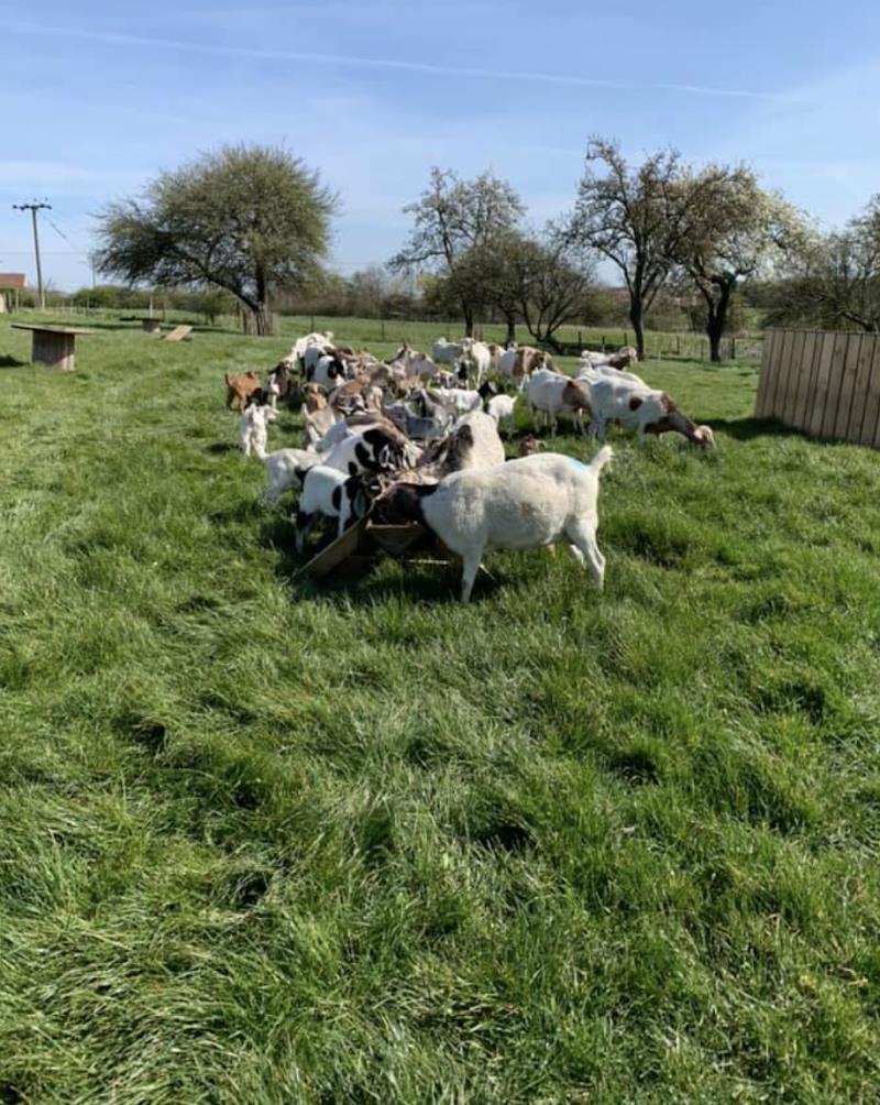 Toulston Hall Farm