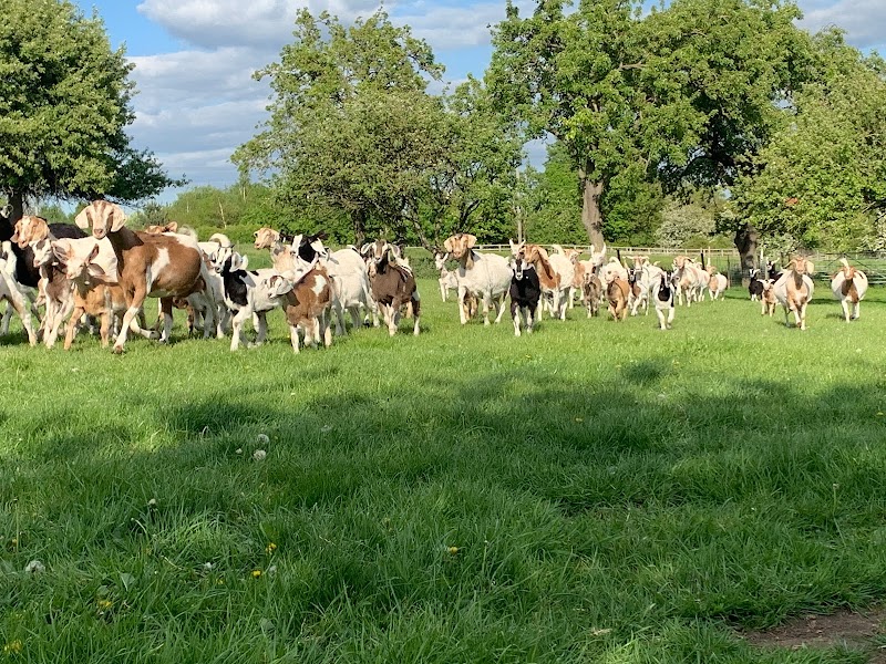 Toulston Hall Farm