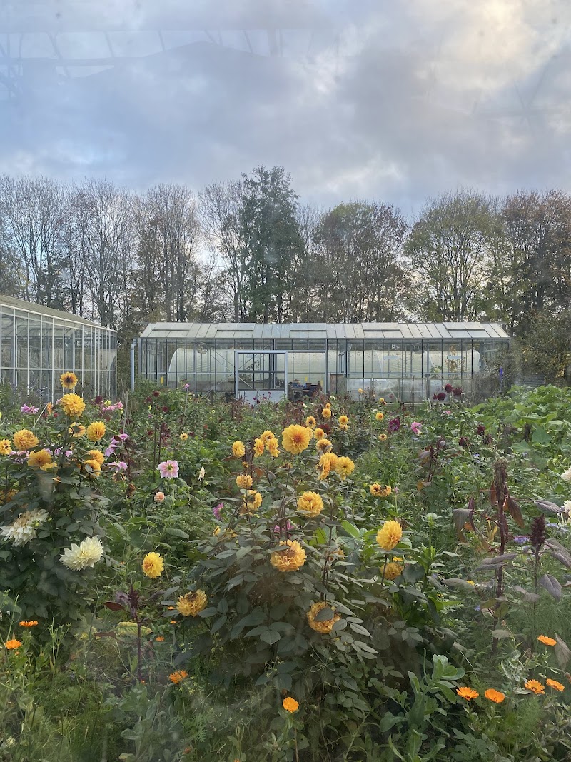 Worton Kitchen Garden