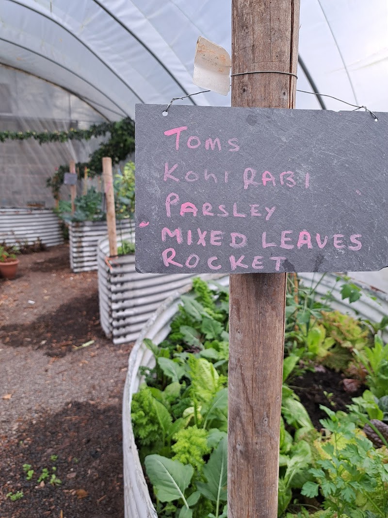 Wilson's Farm and Kitchen