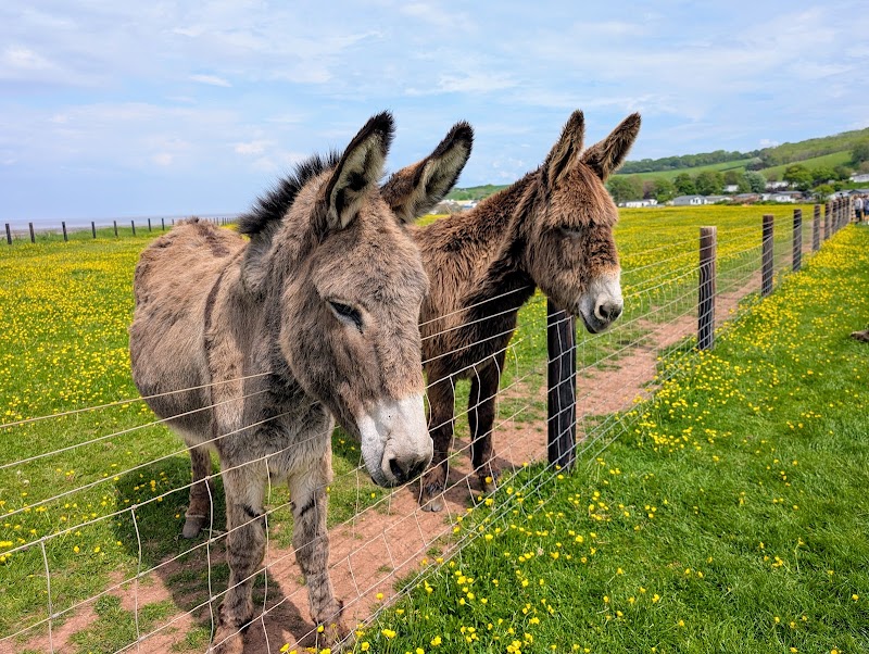Doniford Farm Park