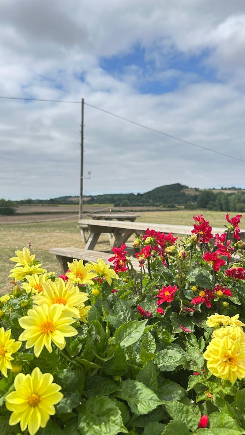 Peasey Farm shop