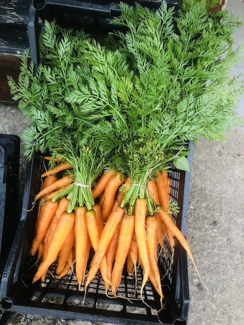 Hinksford Farm Shop
