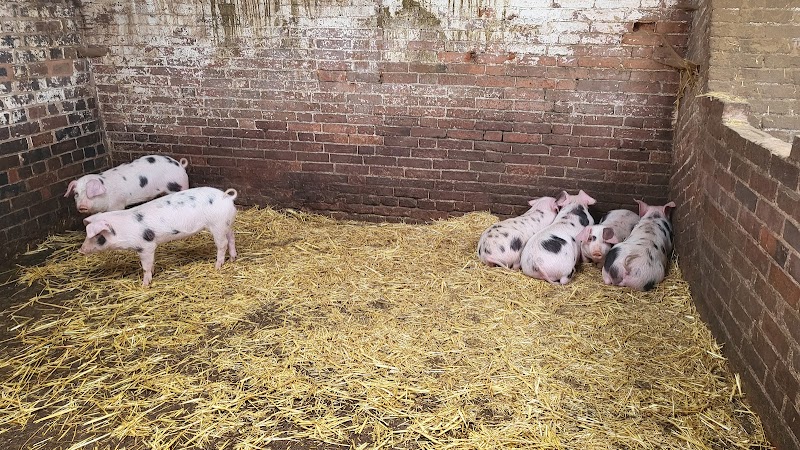 Woodhouse Farm and Garden CIC