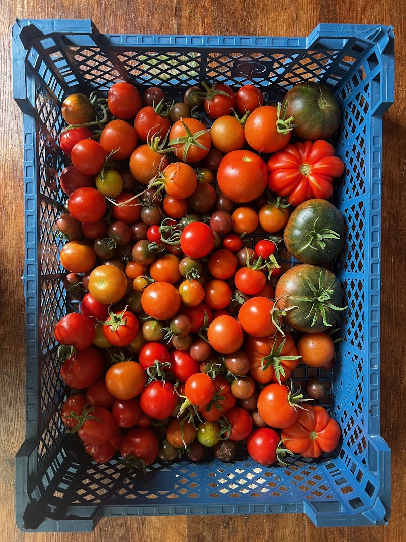 Railway Farm Shop - Veg Boxes