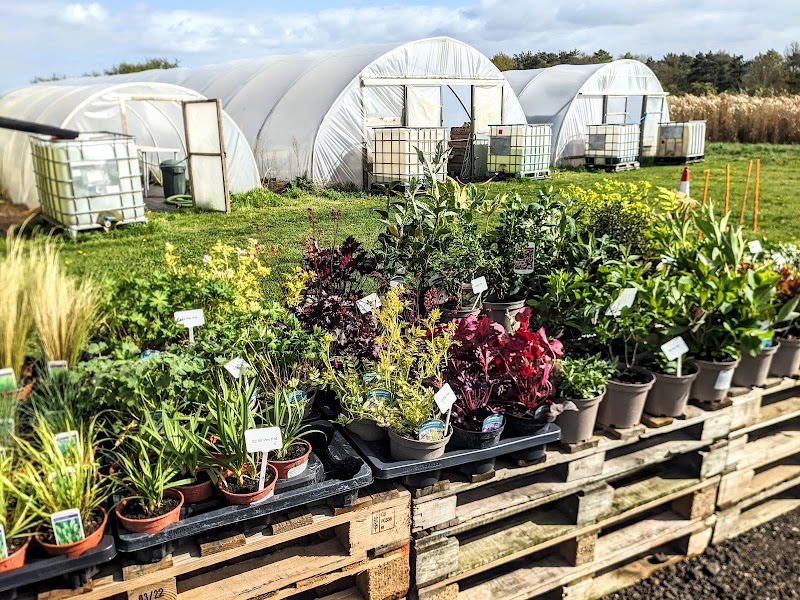 Seed Farm Shop